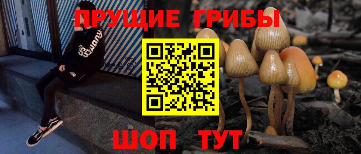 Псилоцибиновые грибы мицелий  Вход с VPN  Реутов 